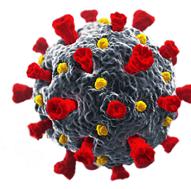 Covid-19 virus picture