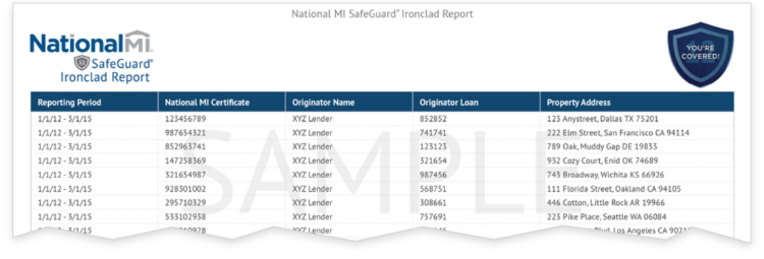 Safeguard report